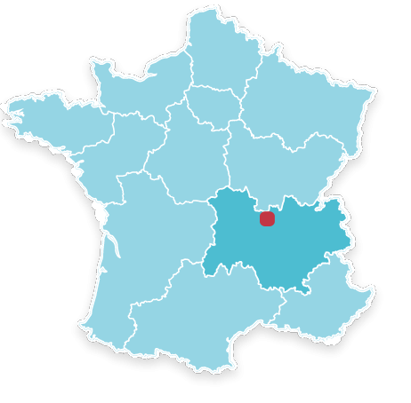 42300 Roanne